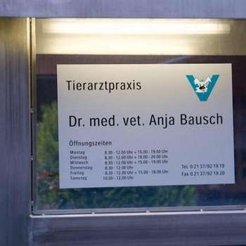 Preview of Tierarztpraxis Dr. Anja Bausch
