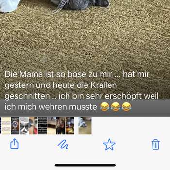 Preview of Silke Herzberger Tierärztin