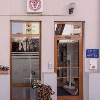 Preview of Tierärzte Neutraubling IVC Evidensia GmbH
