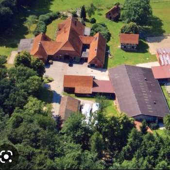 Vorschau von Zucht& Pensionspferdehaltung Hof Kuls/ Carsten Kuls