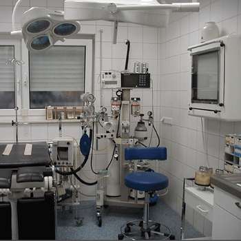 Vorschau von Dr. med. vet. Roland Graen