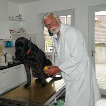 Preview of Dr. Dirk Lellbach, prakt. Tierarzt