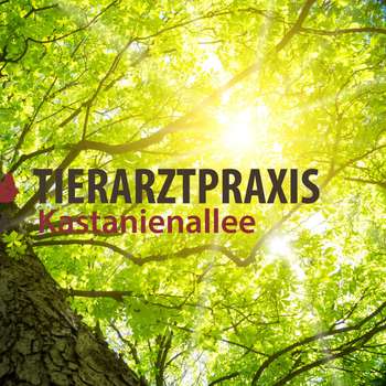 Vorschau von Tierarztpraxis Kastanienallee