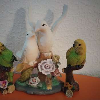 Preview of Tierarztpraxis Klaus Sperling