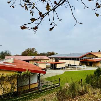 Vorschau von Pferdeklinik Dallgow Altano GmbH - 24 Stunden Notdienst