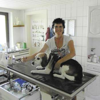 Vorschau von Kleintierpraxis Karin Bendix
