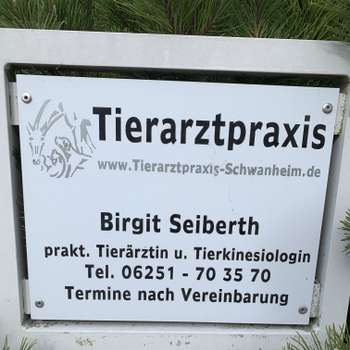 Preview of Birgit Seiberth