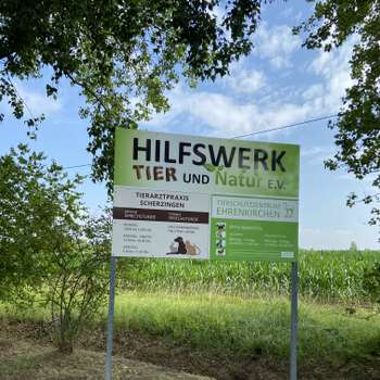 Vorschau von Tierarztpraxis Scherzingen