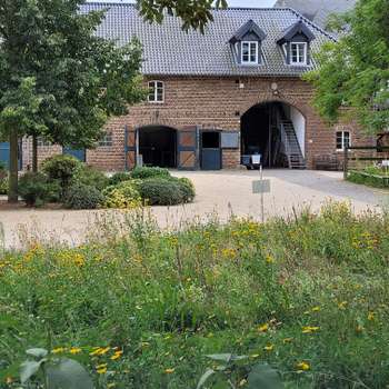 Preview of Pferdeklinik Burg Müggenhausen GmbH