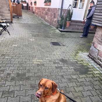Vorschau von Tierklinik am Scheibenberg