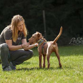 Vorschau von Hundeschule & Praxis für Verhaltensmedizin Dr. Sandra Bruns