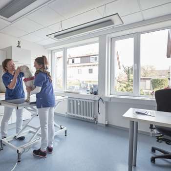 Vorschau von Kleintierpraxis Müllheim