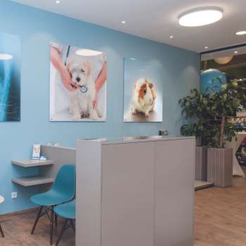 Preview of Tierarzt Krefeld, Tierarztpraxis Activet Krefeld