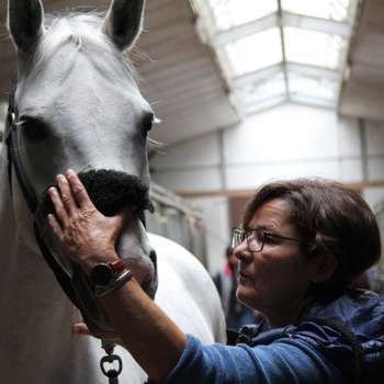 Preview of Dr.med.vet. Caroline Schay-Briem Tierärztin