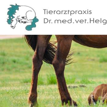 Preview of Dr. med. vet. Helga Schrop | Tierärztin für Pferde