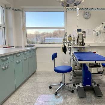 Preview of Tierklinik Zweibrücken - Dr. Liana Meisel-Gehl