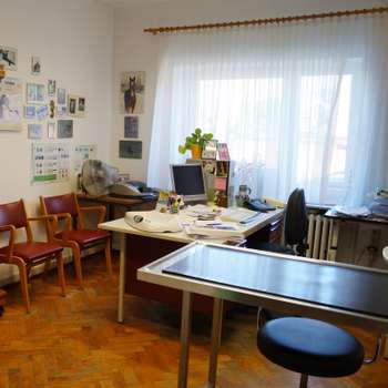 Preview of Dr. med. vet. Birgit Lier