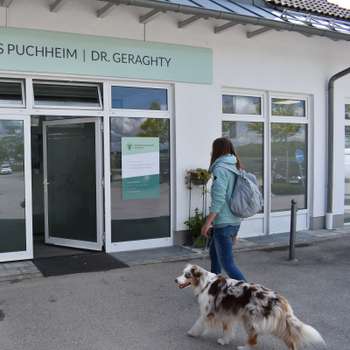 Vorschau von Tierarztpraxis Puchheim - Dr. Geraghty