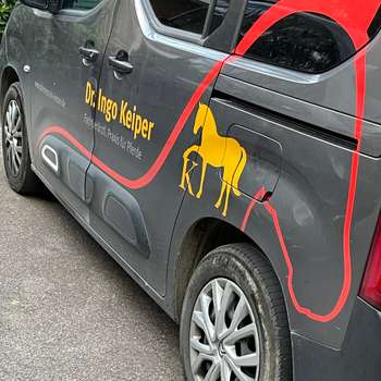 Vorschau von Dr med vet Ingo Keiper