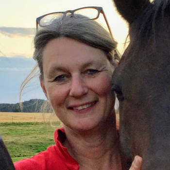 Vorschau von Dr. med. vet. Gabriele Kisters, ambulante Pferdepraxis