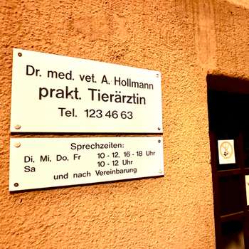 Vorschau von Dr. Andrea Hollmann