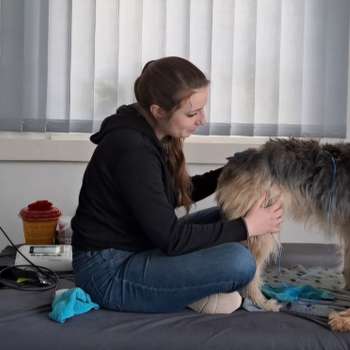 Vorschau von Tiertherapie Büdel