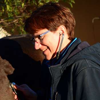 Vorschau von Tierarztpraxis Dr. Maren Franke
