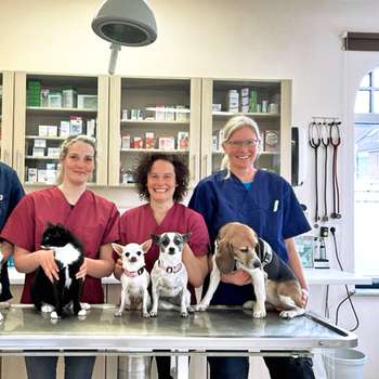 Vorschau von Tierarztpraxis Kellinghusen - DVM B. Düvier