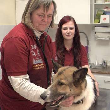 Vorschau von Dr.med.vet. Sibylle Börngen Tierärztin