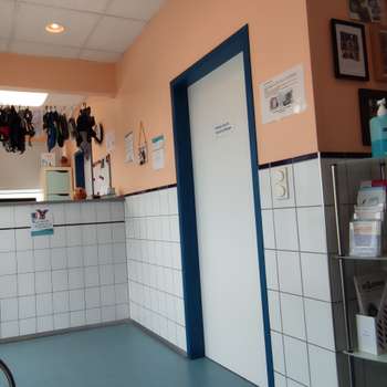 Vorschau von Dr. med. vet. Annette Fuchs