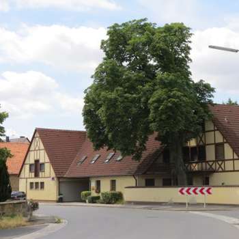 Vorschau von Tierärzte Ettleben