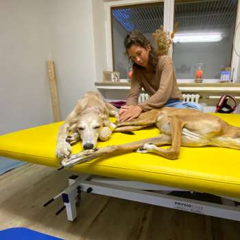 Preview of Tierphysio-Garmisch AH