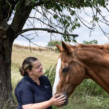 Vorschau von Carina Horter Mobile Tierarztpraxis - Schwerpunkt Zahnmedizin für Pferde