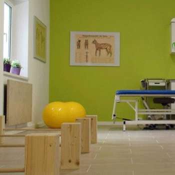 Vorschau von Tierarztpraxis Dr. Susanne Steenbeck - Physiotherapie, Osteopathie, Akupunktur