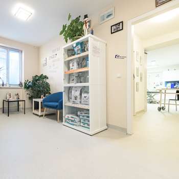 Vorschau von Tierarztpraxis u. Dentalzentrum Alland Dr Nicole Grünwald