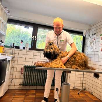 Vorschau von Tierarztpraxis Robin Louis