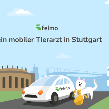 Vorschau von felmo Mobiler Tierarzt Stuttgart