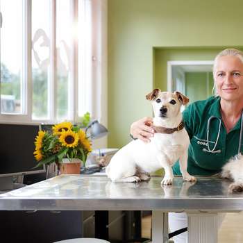 Vorschau von Dr.med.vet. Alexia Plochmann Tierärztin