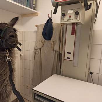 Vorschau von Tierarztpraxis Backnang, Sabrina Hohberg