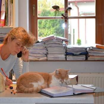 Preview of Tierarztpraxis Wolfsgraben Dipl Tzt -Susanne Holzbecher