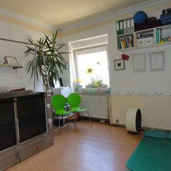 Vorschau von Evi Niederheiser Tierarzt
