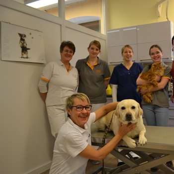 Vorschau von Tierärztliche Praxis für Kleintiere | Dr. med. vet. Angelika Ranzinger
