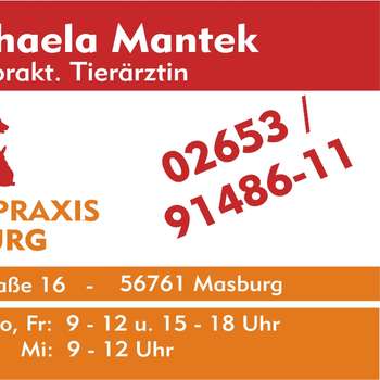 Vorschau von Tierarztpraxis Mantek