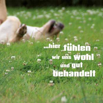 Vorschau von Tierarztpraxis Dr. med. vet. Ralph Kobera