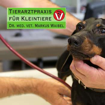Vorschau von Dr. med. vet. Markus Waibel Tierarzt