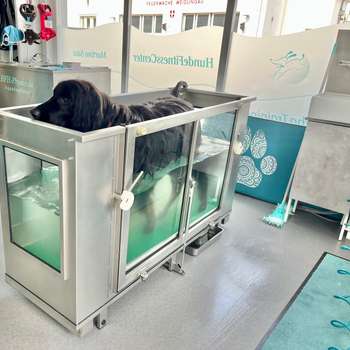 Preview of PhysioTierärztin Mag. Martina Süss mit HundeFitnessCenter