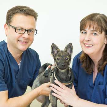 Vorschau von Bergmann und Stutte ; Tierärztliche Gemeinschaftspraxis