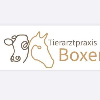 Vorschau von Tierarztpraxis Boxen