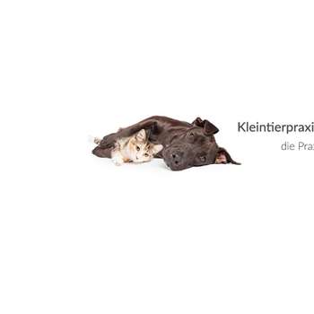 Vorschau von Kleintierpraxis Haberkern - Fachtierärzte im Raum Heilbronn und Neckarsulm