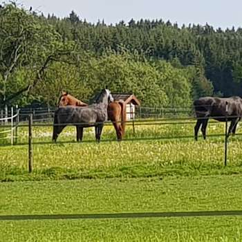 Vorschau von Andreas Blüthner Tierarzt